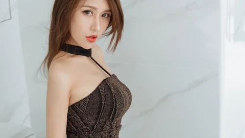 高分精品短剧在线播放高清版免费